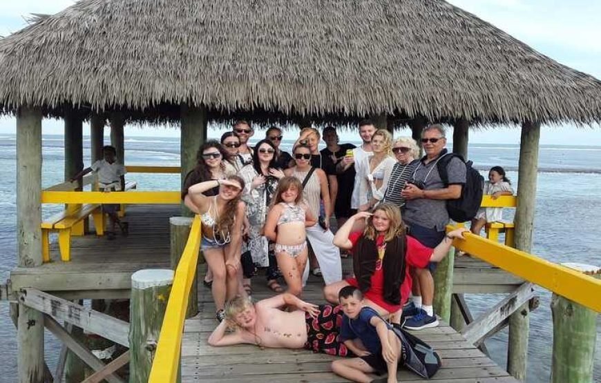 Nadi Half-Day Tour