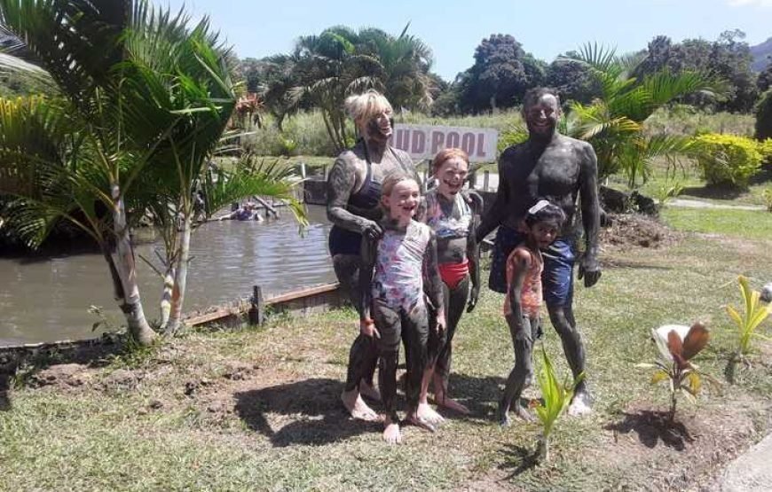 Nadi Half-Day Tour