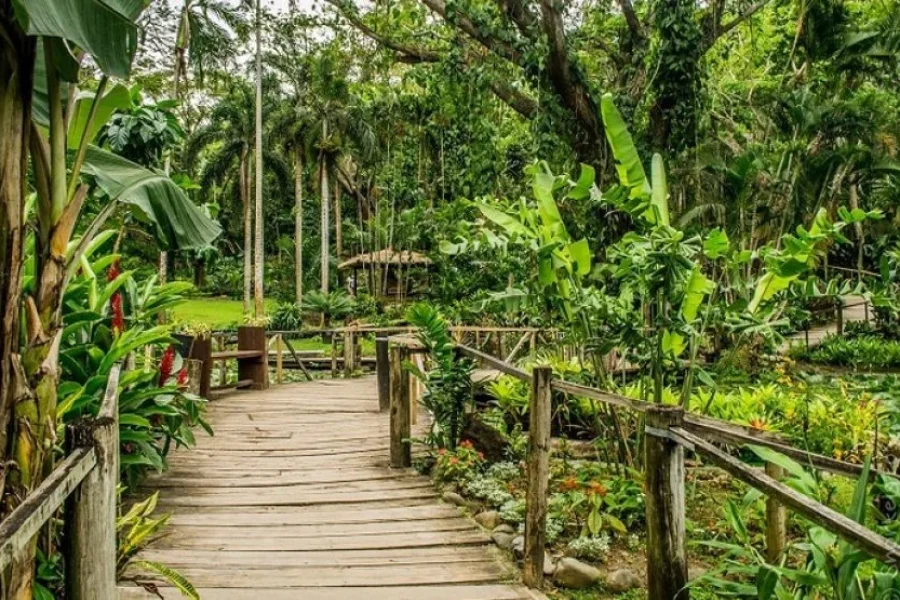 Best Nadi Tour for 2026