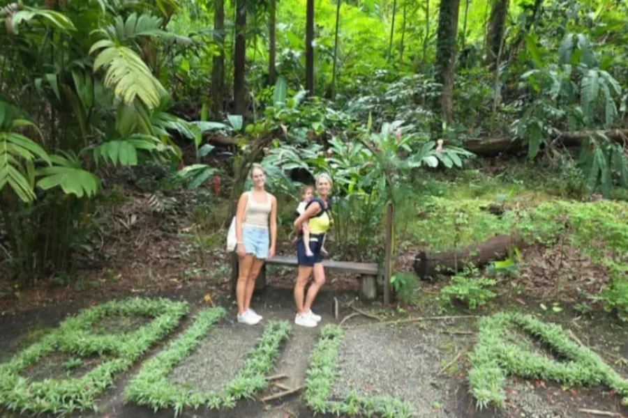 Fiji Morning Walk