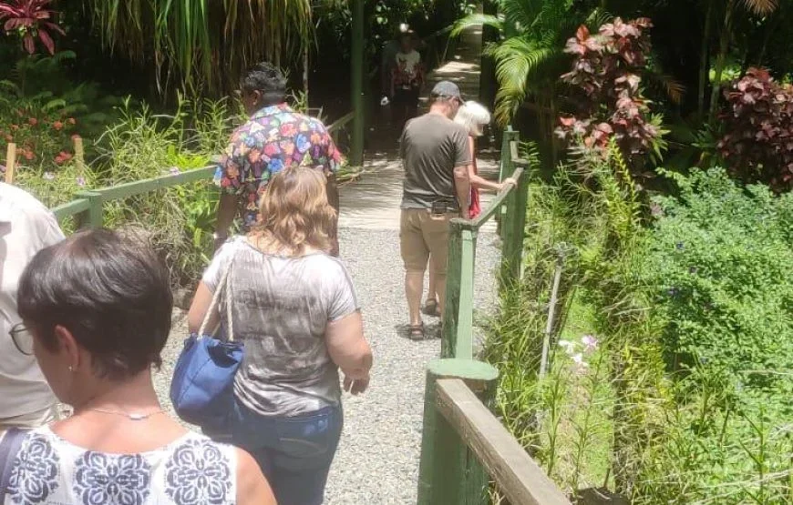 Fiji Morning Walk