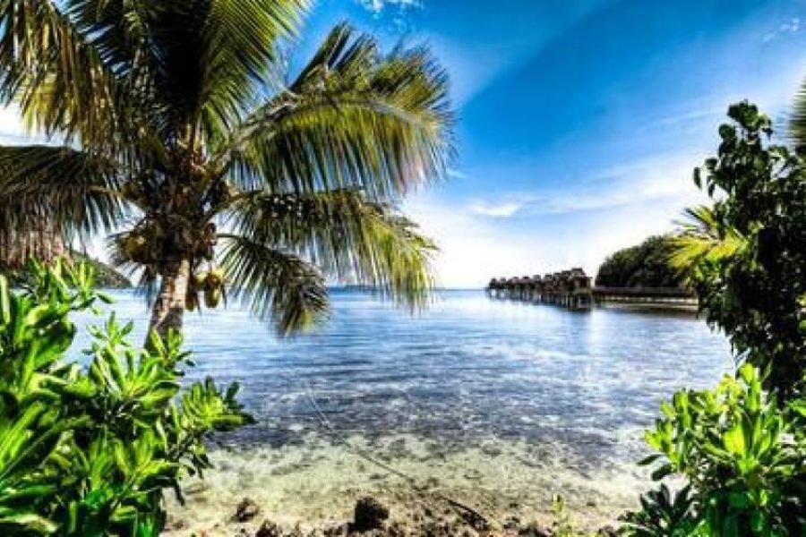 Lautoka Sightseeing Village Tour Fiji
