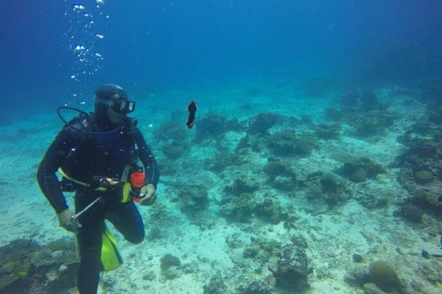 Experience Diving in Fiji | Bula!