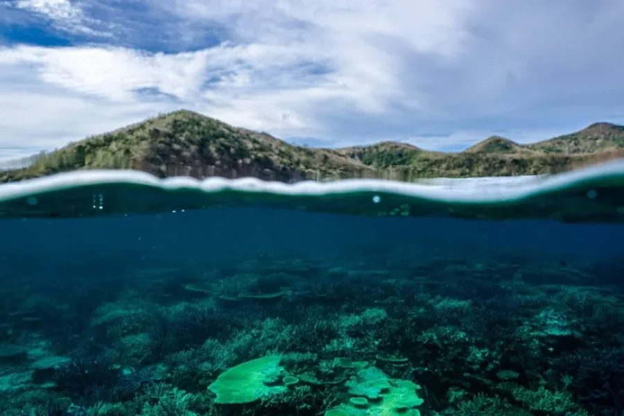 Jewel Of Fiji