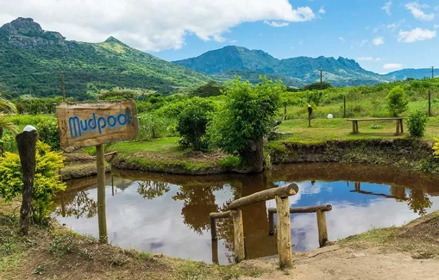 Thermal Mud Pool & Garden Tour Fiji