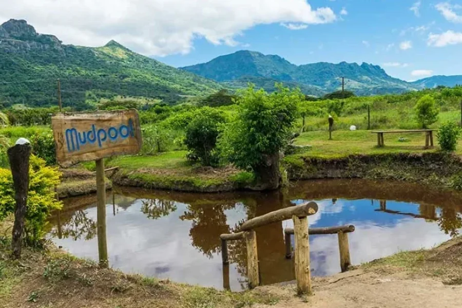 Mudpool & Hotsprings Tour Fiji