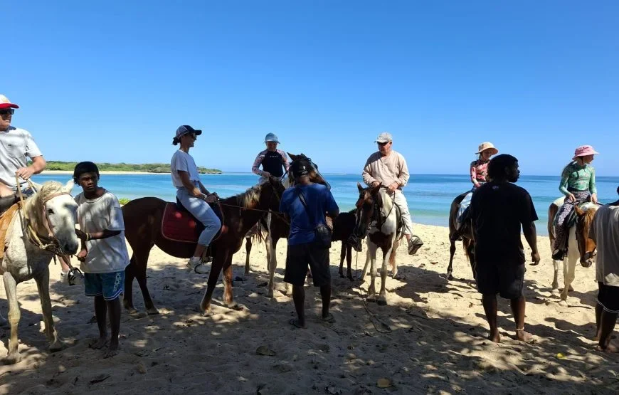 Horseriding in Fiji
