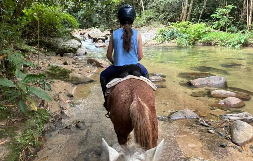Horseriding in Fiji