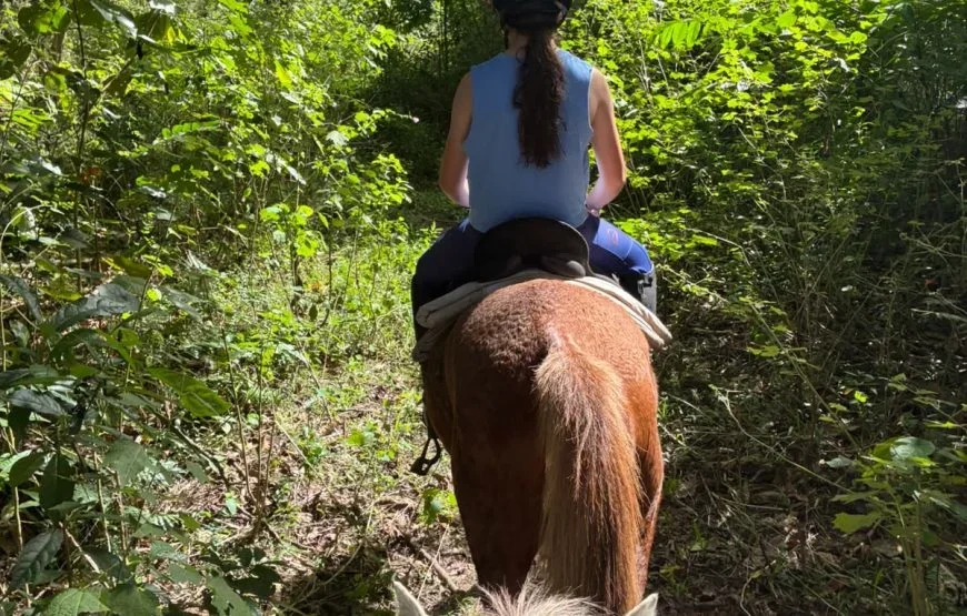 Horseriding in Fiji
