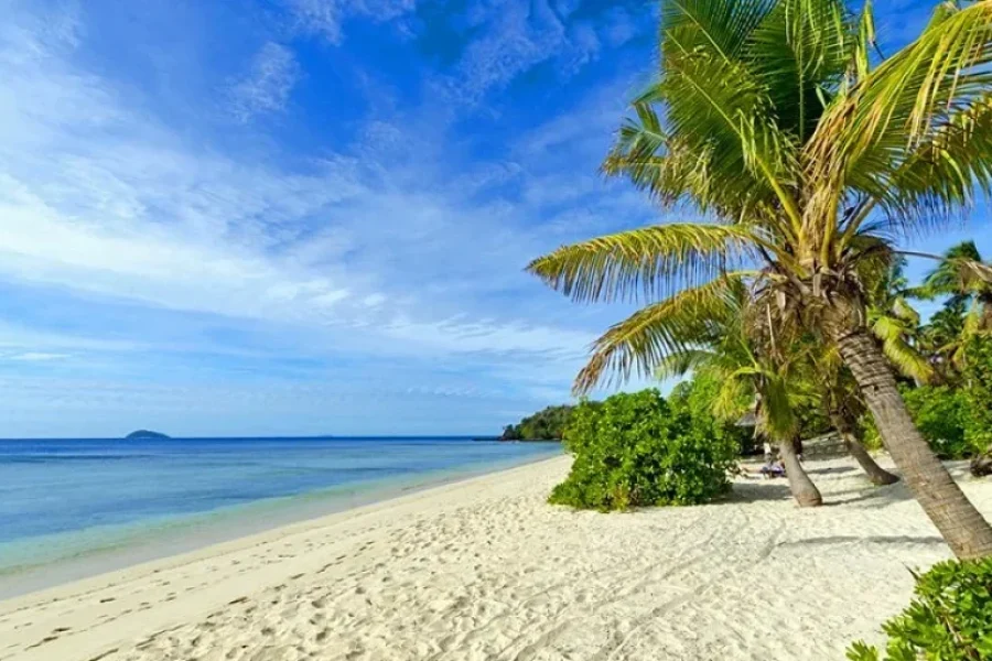 Taveuni Snorkeling Fiji