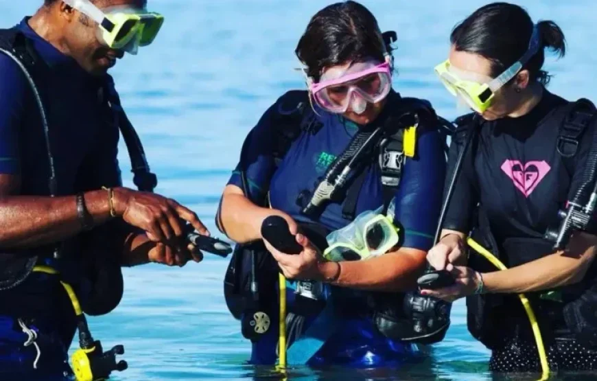 Shark Diving in the Beqa Lagoon Fiji