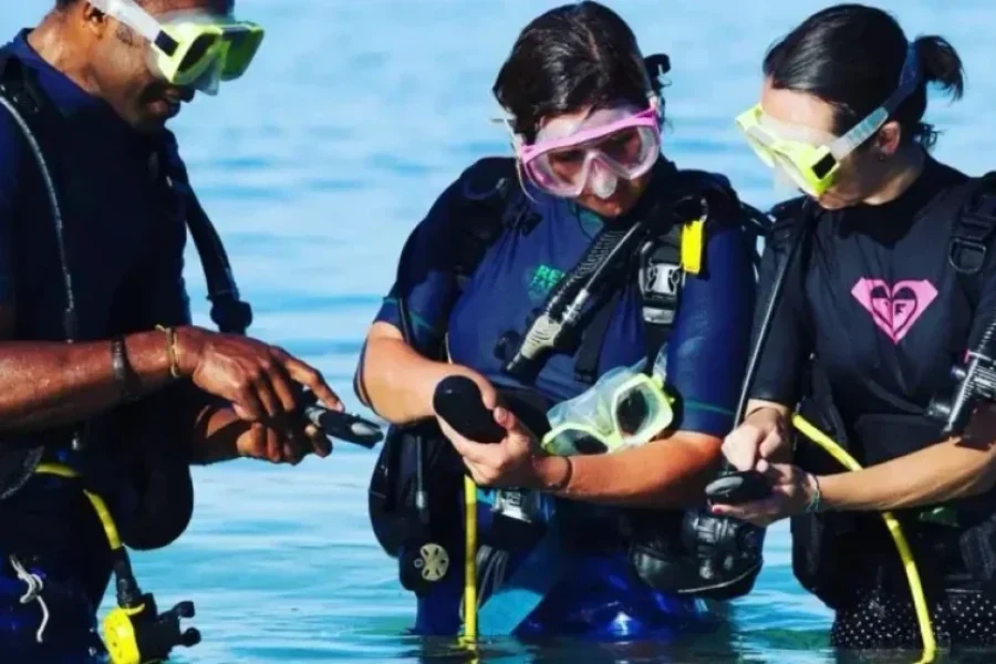 Shark Diving in the Beqa Lagoon Fiji