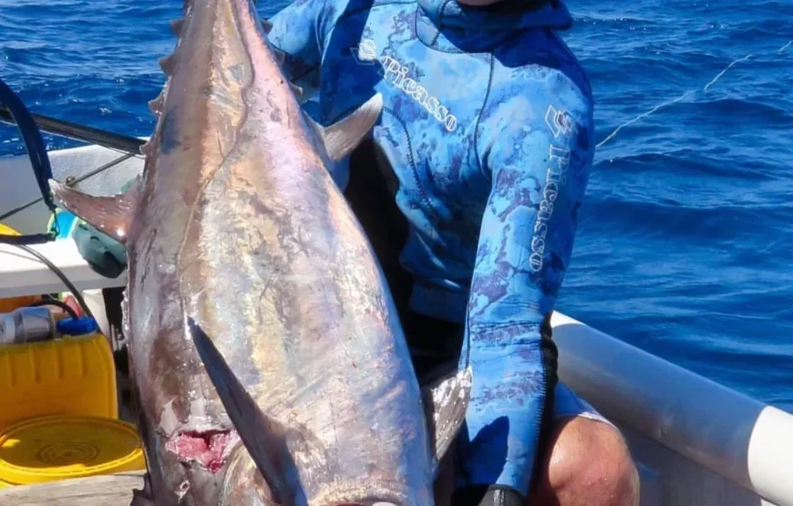 Ringgold Isles Spearfishing & Fijian HomeStay Adventure
