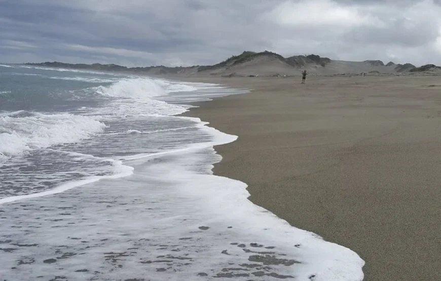 Sand Dunes National Heritage Park & Natadola Beach Half Day Tour