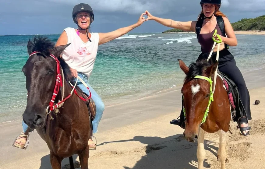 Natadola Beach Horse Riding Fiji – AU$95