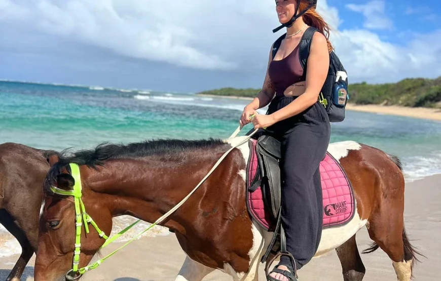 Natadola Beach Horse Riding Fiji – AU$95