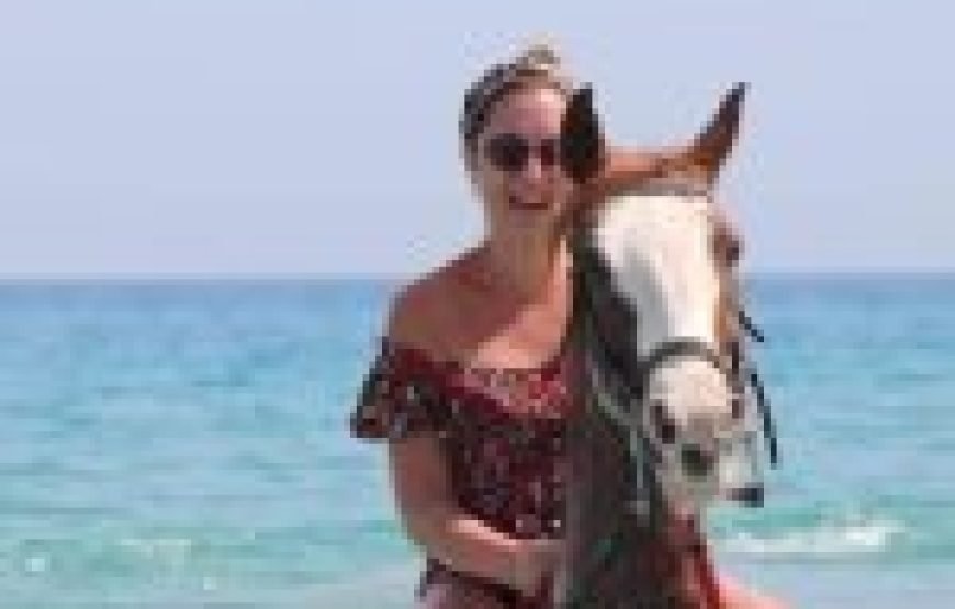 Nadi Jewels of Fiji Full Day Tour