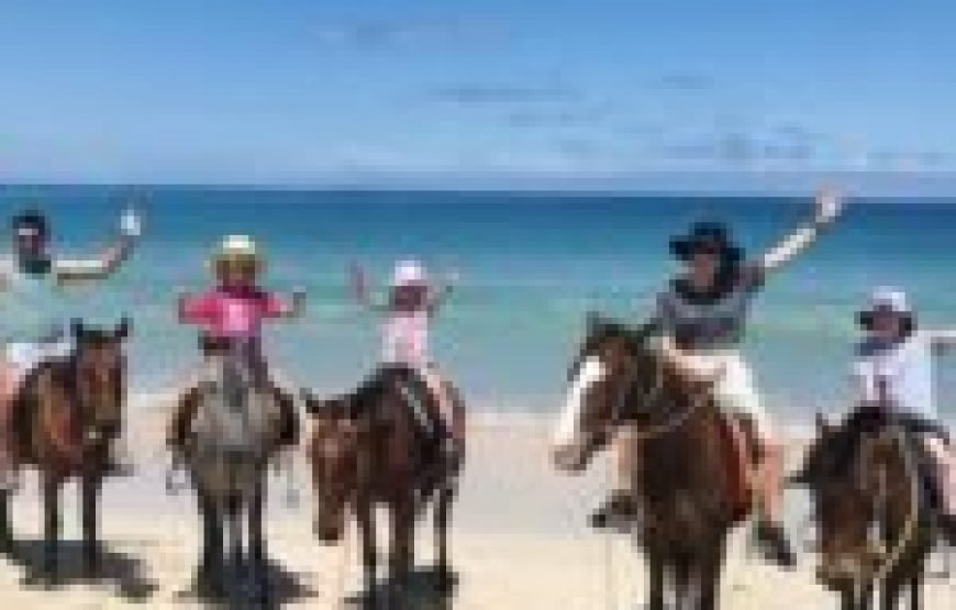 Nadi Jewels of Fiji Full Day Tour