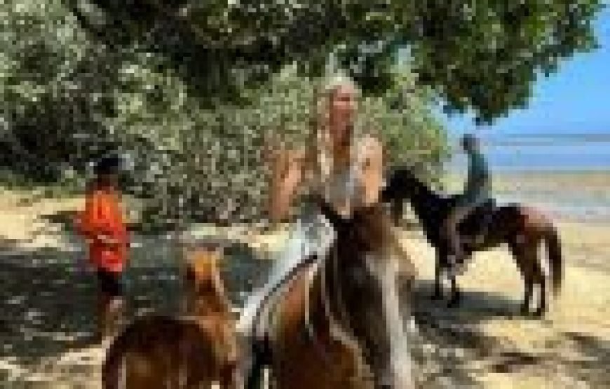 Nadi Jewels of Fiji Full Day Tour