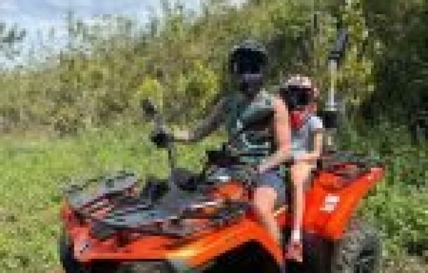 Nadi Jewels of Fiji Full Day Tour