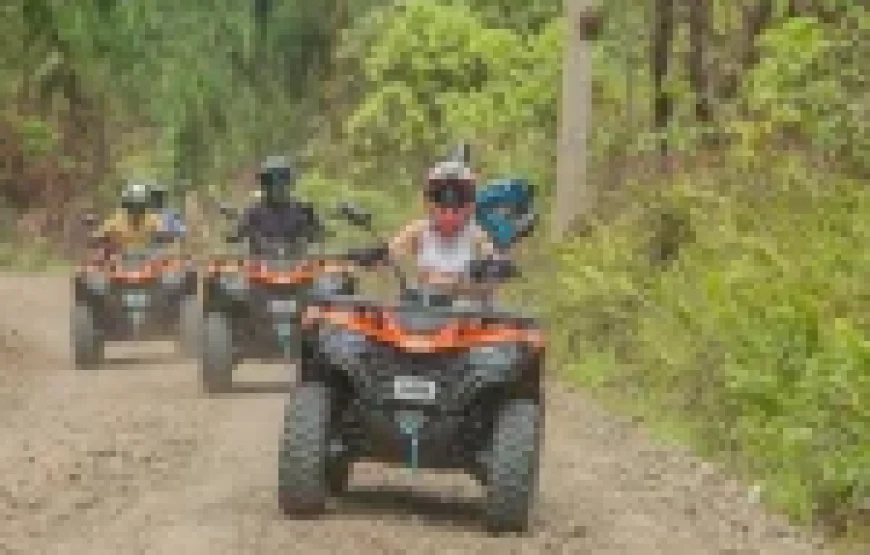Nadi Jewels of Fiji Full Day Tour