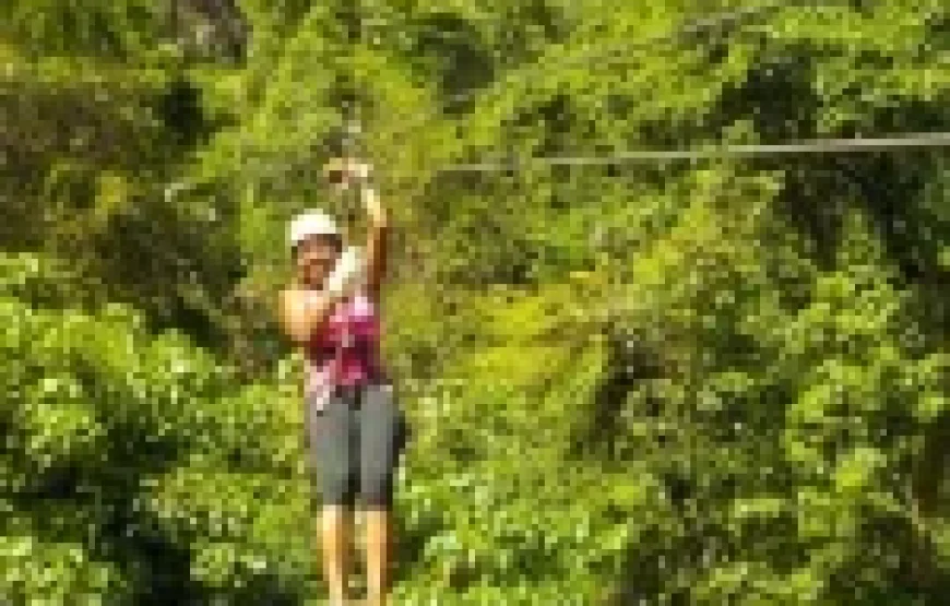 Nadi Jewels of Fiji Full Day Tour