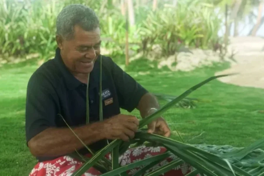 Fijian Nature and Waterfall Tour