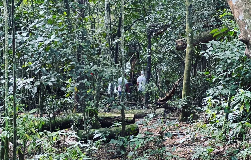 Best Nadi Tour for 2026