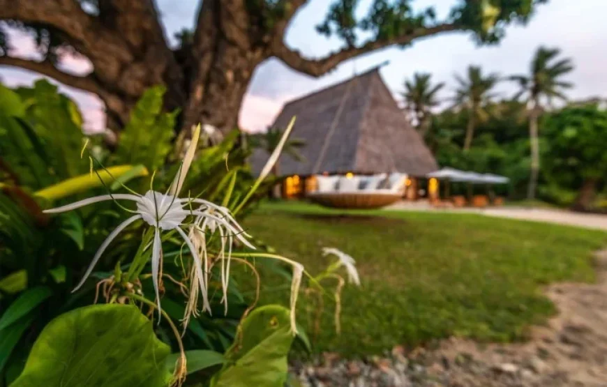 South Sea Island Tour 2026 – Viti Levu