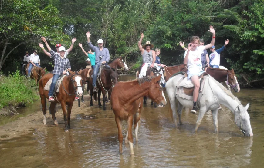 Coral Coast Horse Riding in Fiji with Fijian Hooves and Lovo Delights