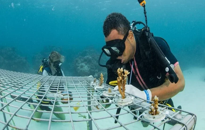 Fijian Nature and Waterfall Tour