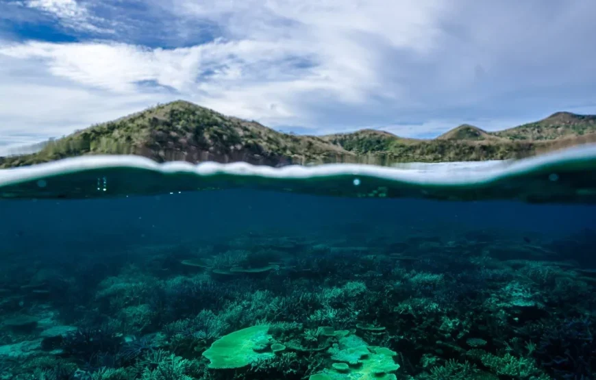 Highland Village Tour