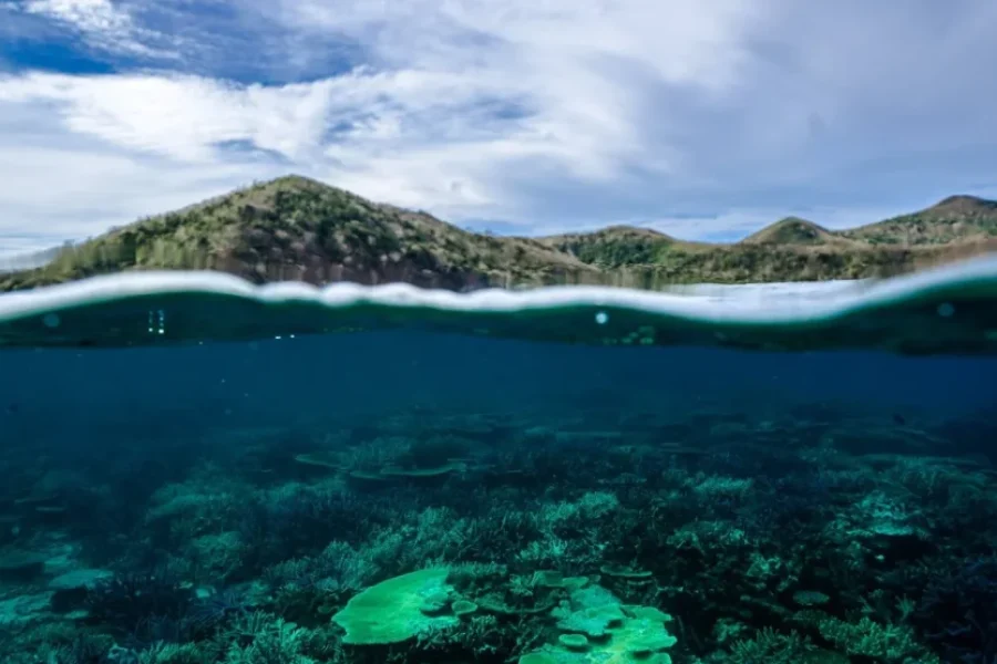 Skydive Fiji Radical 10000ft Tandem Jump (30 seconds free fall)