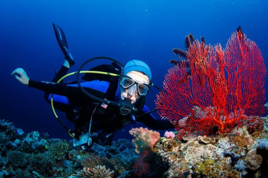 Savusavu Beach & Snorkeling Adventure