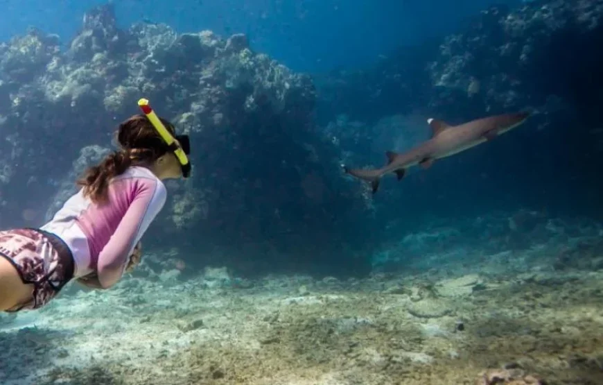 Tropical Fiji Island Hopping