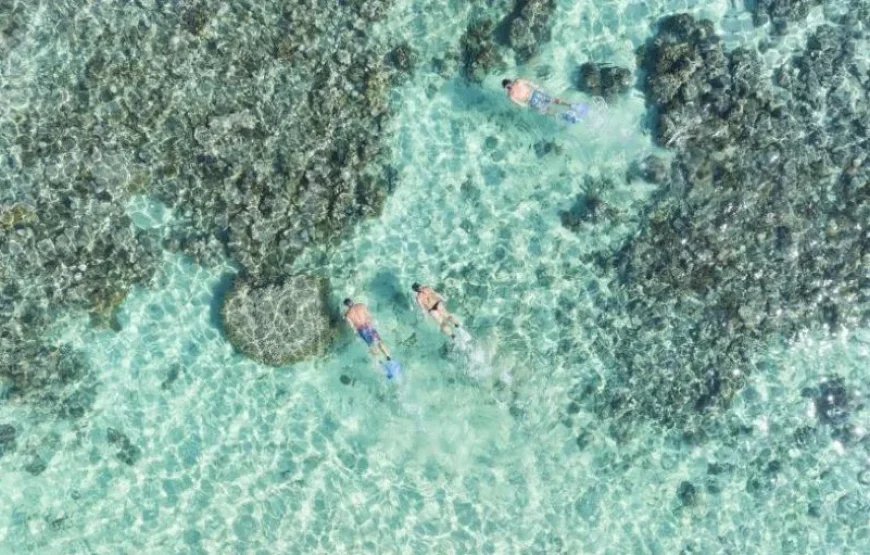 Tropical Fiji Island Hopping