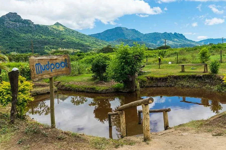 Mud Pool & Garden of the Sleeping Giant Tour Fiji