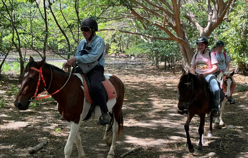 Natadola Beach Cross Country Horse Riding Fiji