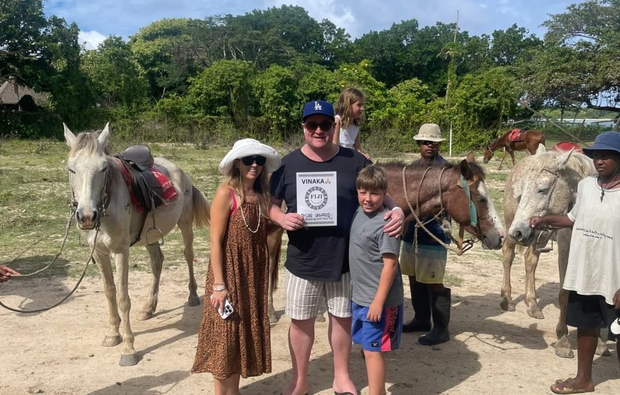 The Top Fiji Half-day Snorkelling Tour (Advance Payment)