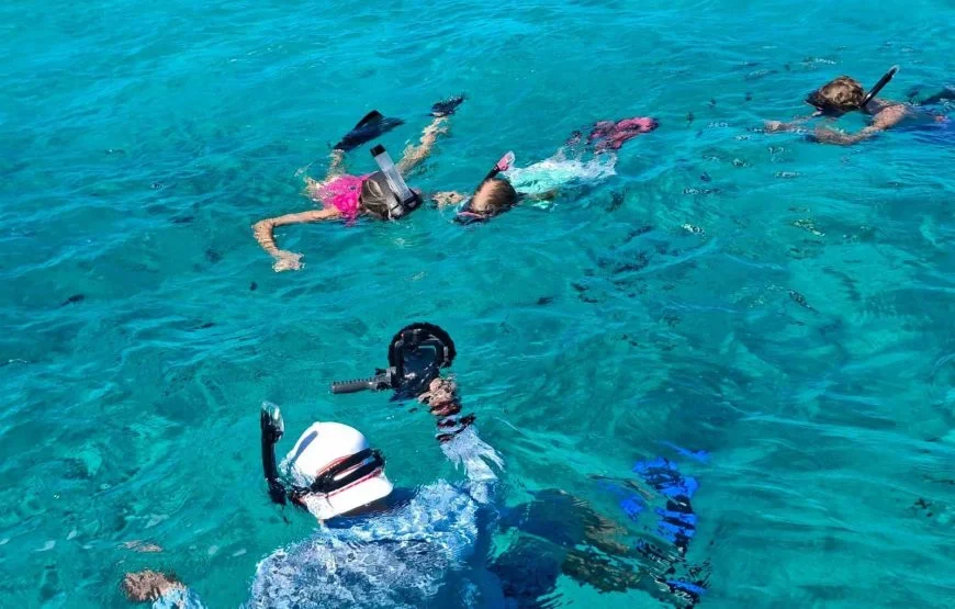 Mt Batilamu Peek Day Track Fiji