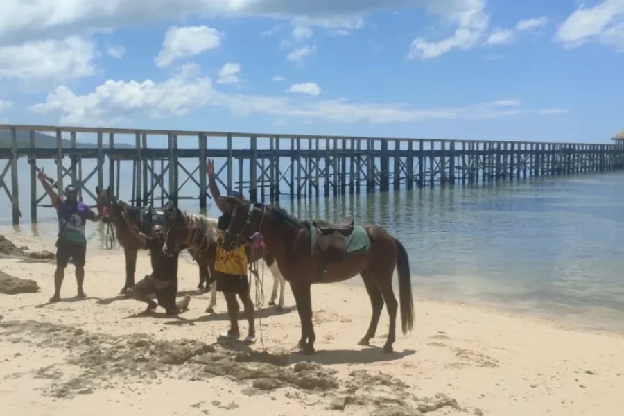 Best Of Nadi Sightseeing Tours