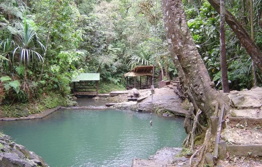 Colo-i-Suva Forest Waterfall Tour