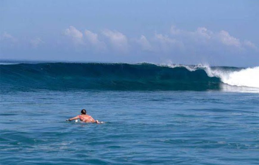 Private surf tour all inclusive with transfer from Nadi hotels