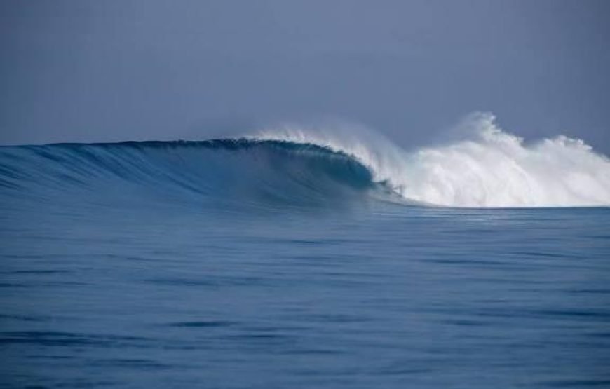 Private surf tour all inclusive with transfer from Nadi hotels