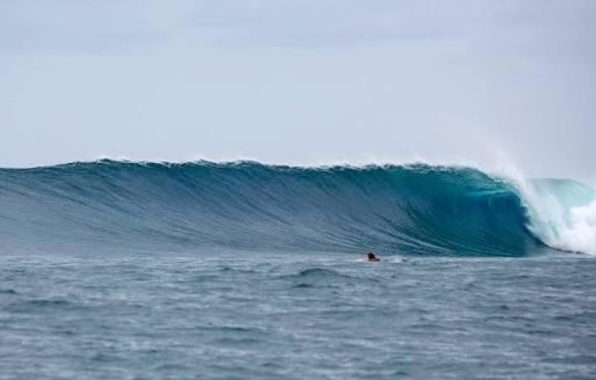 Private surf tour all inclusive with transfer from Nadi hotels