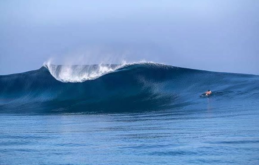 Private surf tour all inclusive with transfer from Nadi hotels