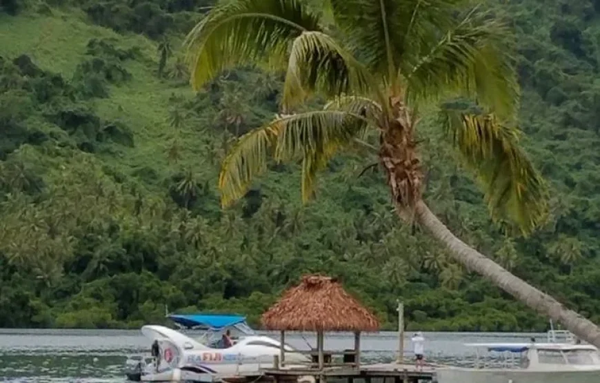 Beqa Lagoon 2 Hour Snorkeling Day Tour