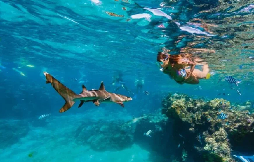 Coconut Cruiser – Fiji Islands Package