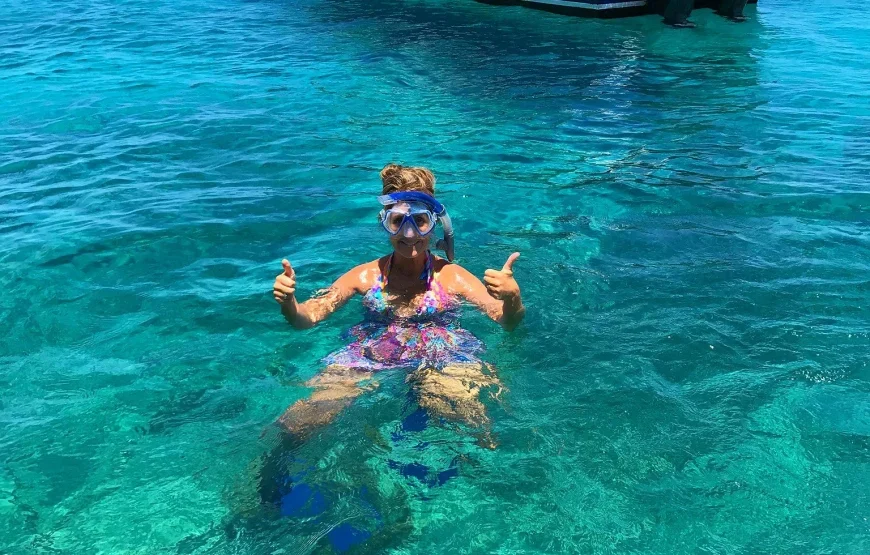 Top Fiji Cultural Tours (Updated 2026)