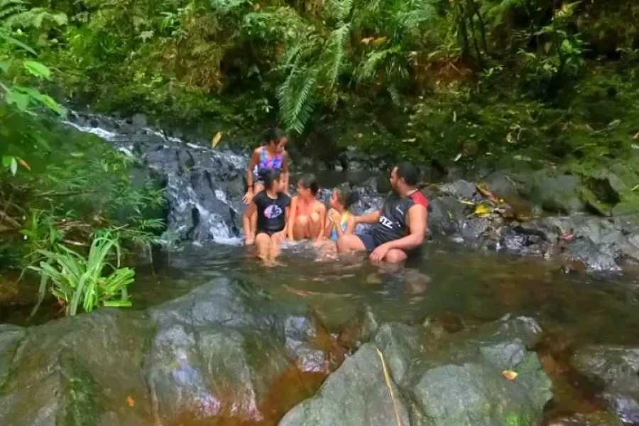 Fijian Nature and Waterfall Tour
